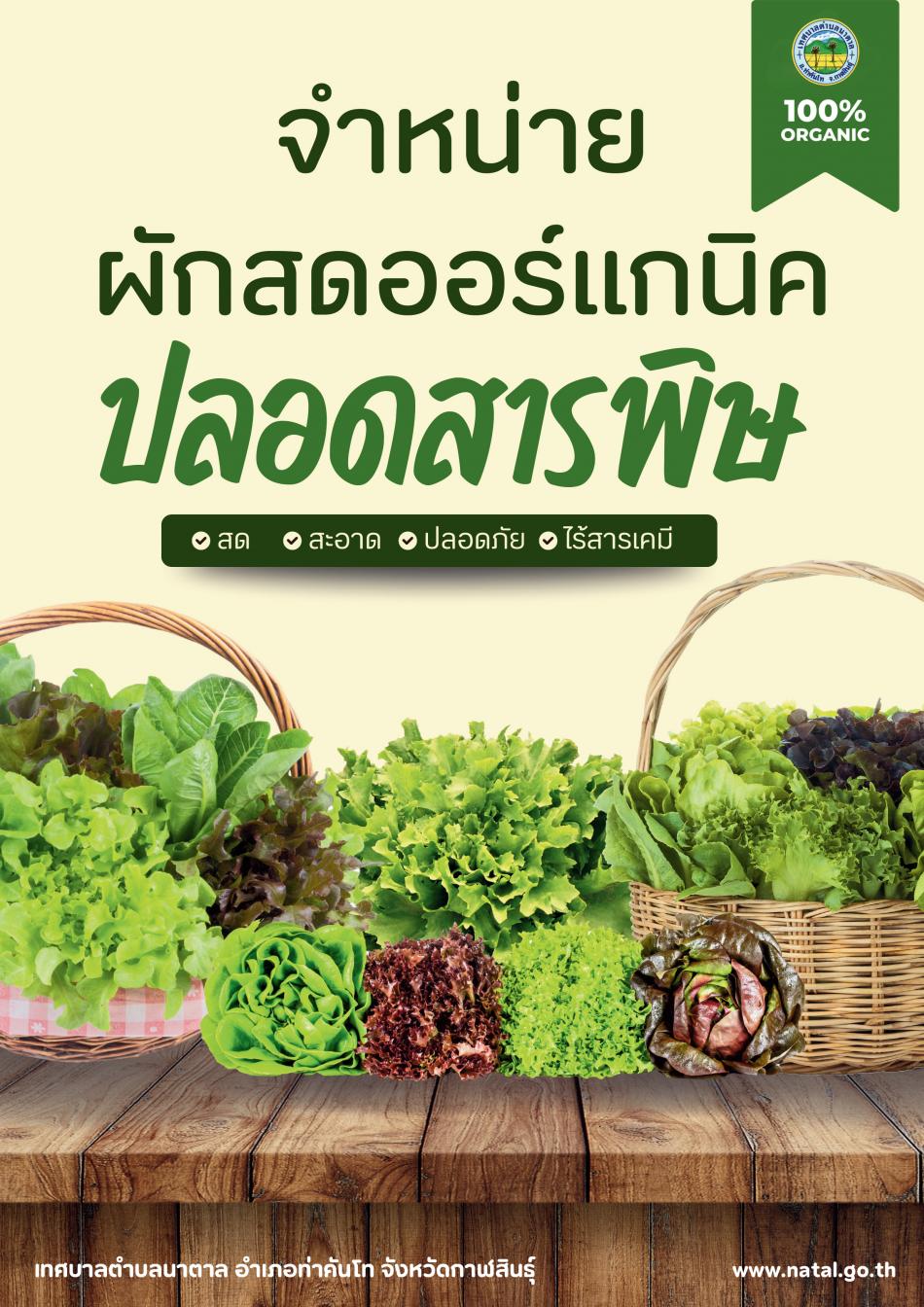 ผักปลอดสารพิษ